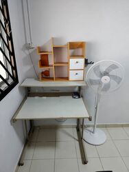 teck-whye-lane photo thumbnail #6